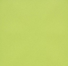 Линолеум Forbo Eternal Colour 40612 yellow green фото 1 | FLOORDEALER